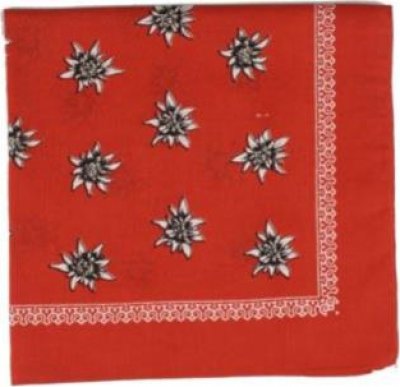 Schnupftuch Edelweiß rot